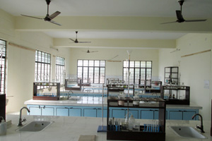 Reading Area