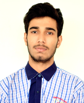 ALI HUMZA MALIK